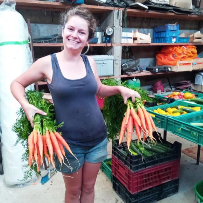 Le Potager de Trébestan