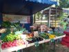 Etal de légumes bio