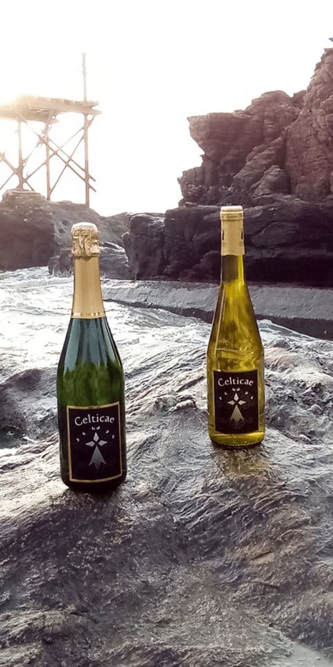 Vignobles Lusseaud - Muscadets et pétillants