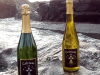 Vignobles Lusseaud - Muscadets et pétillants
