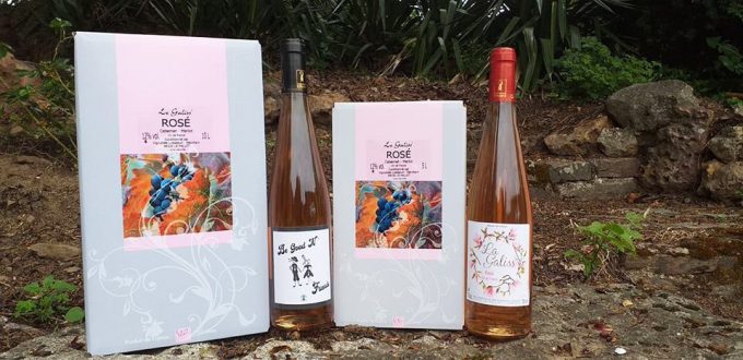 Vignobles Lusseaud - coffrets