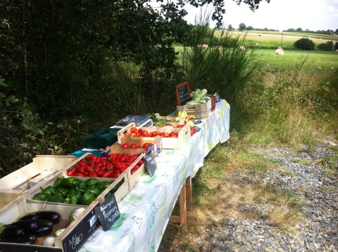 La Ferme des Petits Bonhommes - étal de beaux légumes biologiques