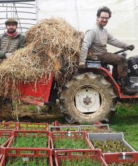 La Ferme des Petits Bonhommes