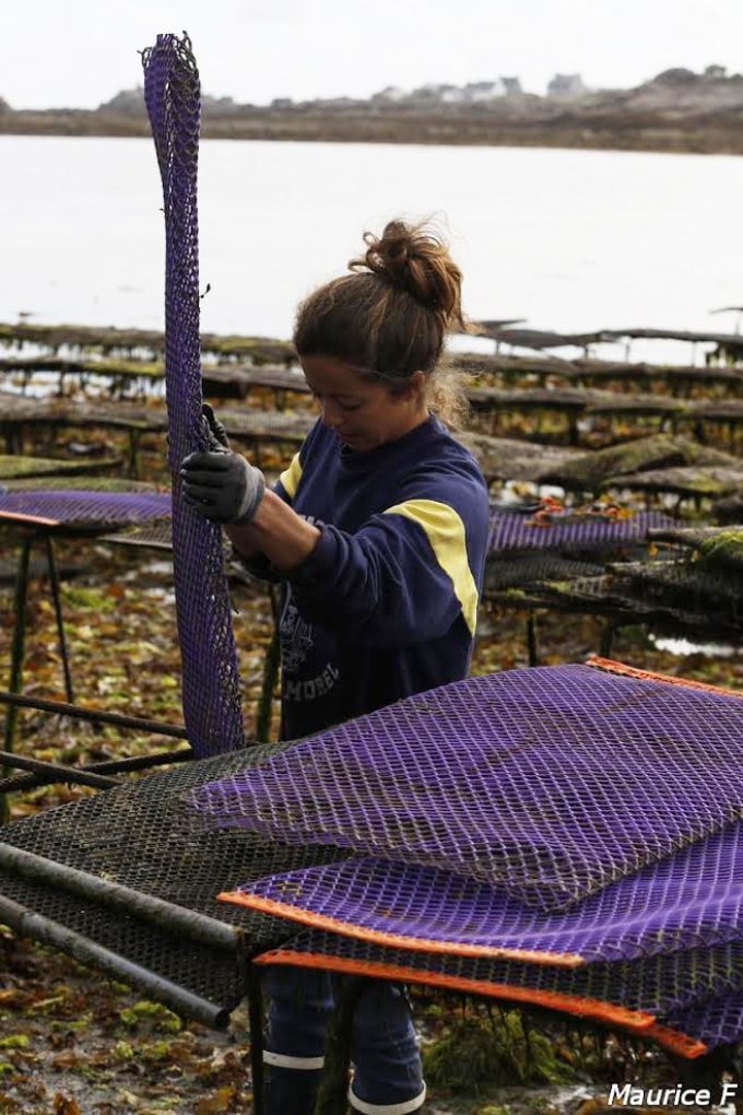 Les Coquillages de l'île de Sein - poches de coquillages