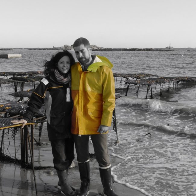 Les Coquillages de l’Île de Sein