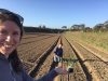 La Ferme de Kergus - plantation d'oignons de Roscoff