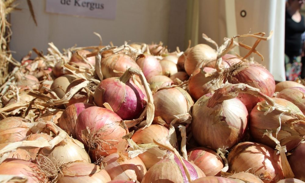 L&rsquo;Oignon Rosé de Roscoff : Histoire, Saison, Bienfaits… on te dit tout !