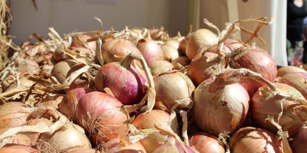 L&rsquo;Oignon Rosé de Roscoff : Histoire, Saison, Bienfaits… on te dit tout !