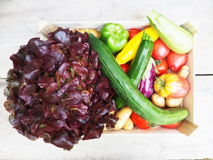 Ferme de Ty Nevez - panier de beaux et bons légumes bio