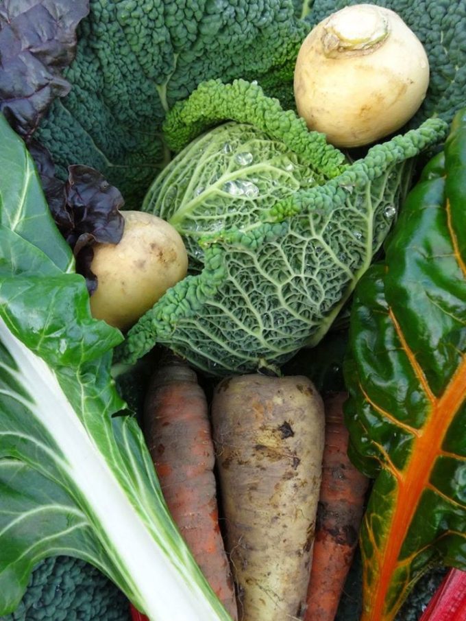 La Ferme de Kerhet - beaux légumes bio