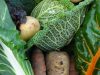 La Ferme de Kerhet - beaux légumes bio