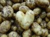 La Ferme de Kerhet - coeur de pommes de terre