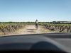 Le Jardin d'Édouard - promenade dans le vignoble