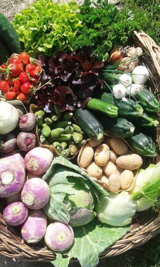 Au Jardin de Clarisse - légumes variés