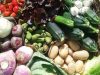 Au Jardin de Clarisse - légumes variés