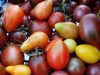 Au Jardin de Clarisse - tomates