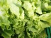 Au Jardin de Clarisse -  salades