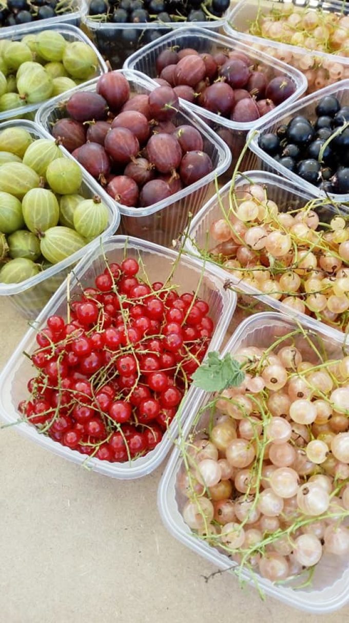 Au Jardin de Clarisse - petits fruits rouges