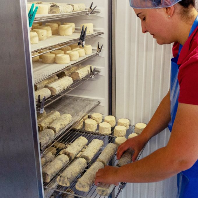 Pampilles et Cabrioles - mise au frais des fromages