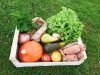Au Potager de Kervoigen