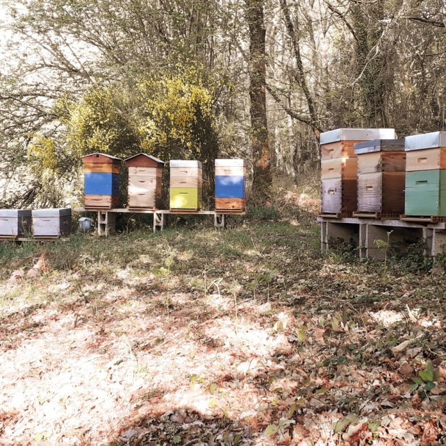 Les Ruchers des Grés