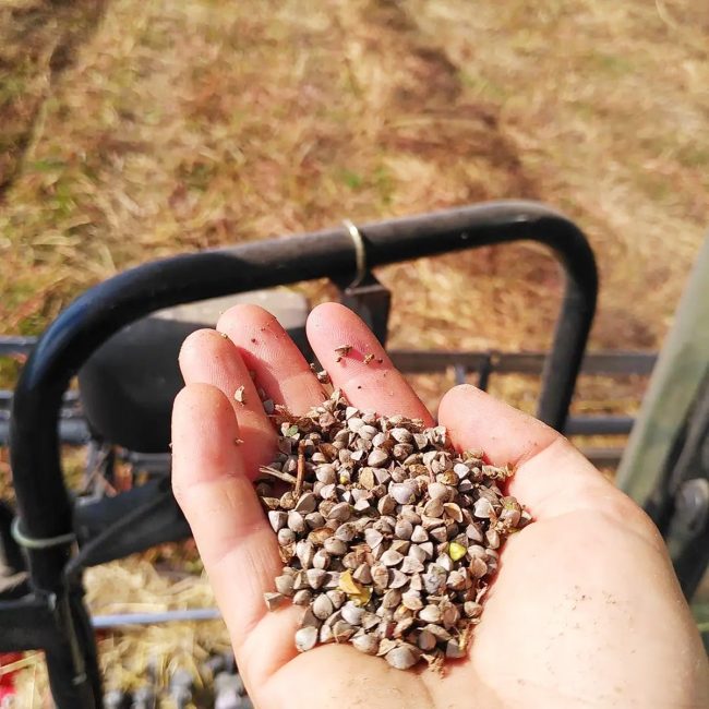 Ferme Bréti’Graines