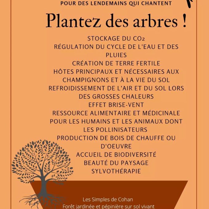 Les Simples de Cohan - plantez des arbres