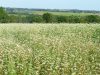 La ferme bio de la Cavalerie