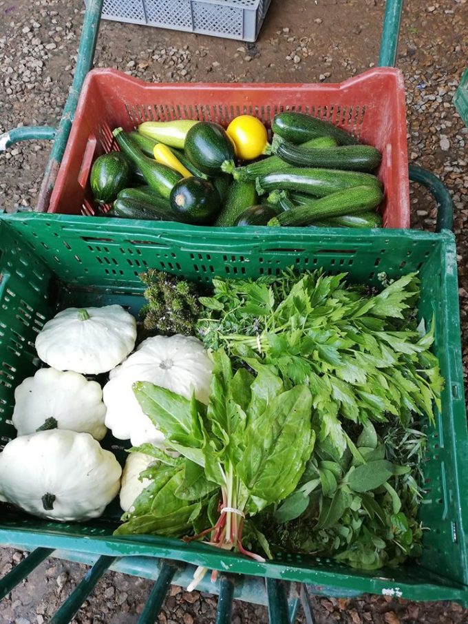 Nos légumes