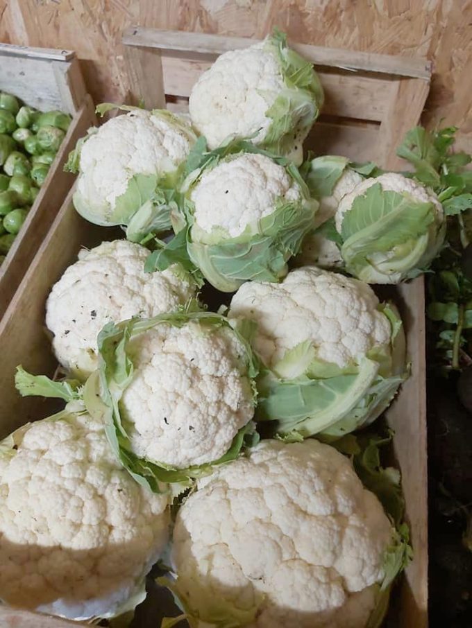 Légumes d'hiver