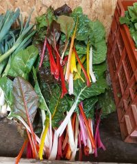Ferme O Naturel