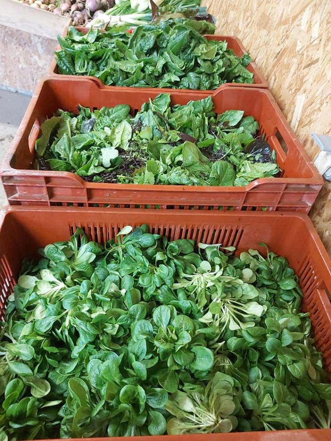 Légumes de saison