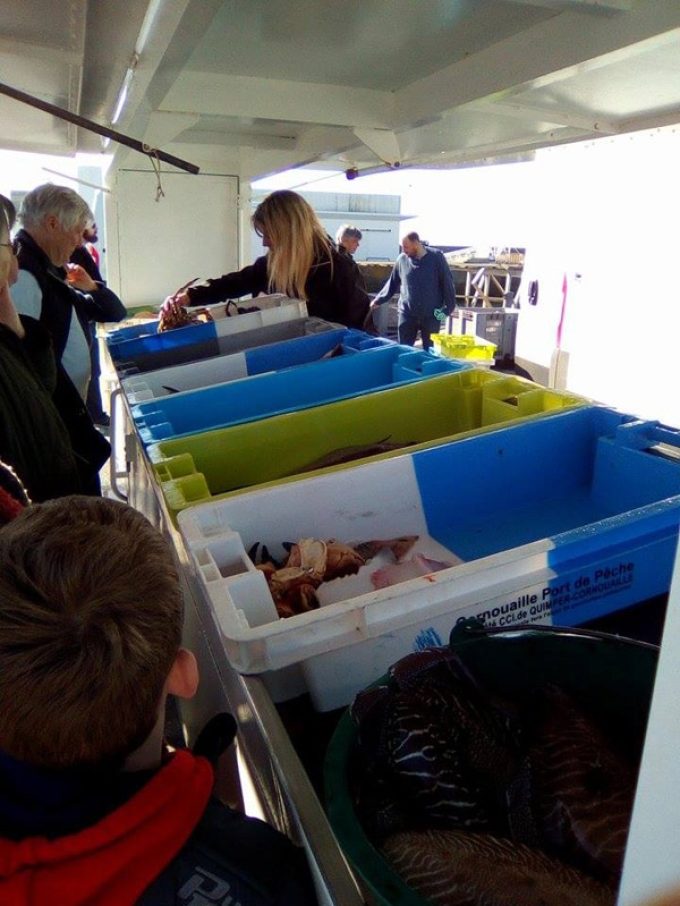 Poissons et crustacés en direct
