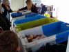Poissons et crustacés en direct