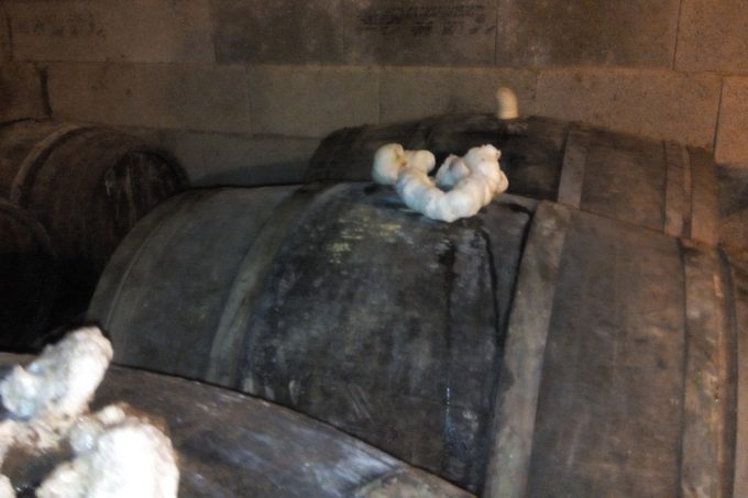 Le cidre