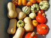 Bio'Pot' - courges