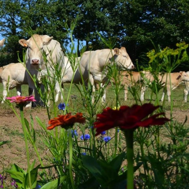 La Ferme de Botfaven