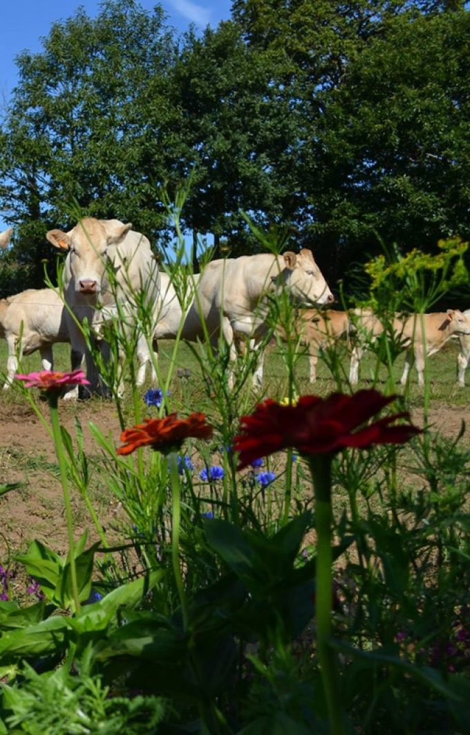 La Ferme de Botfaven