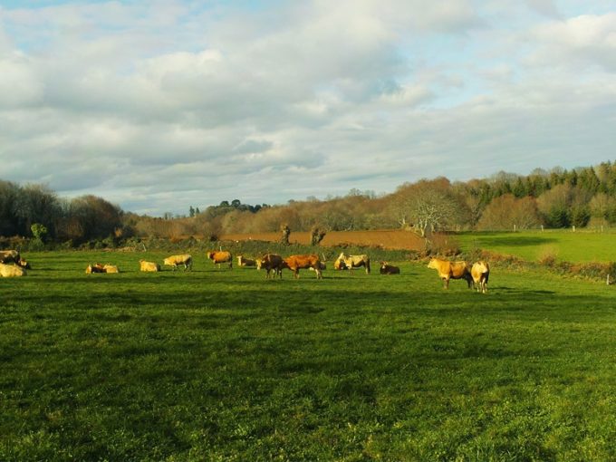 Champs de la Ferme de Botfaven