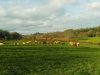 Champs de la Ferme de Botfaven
