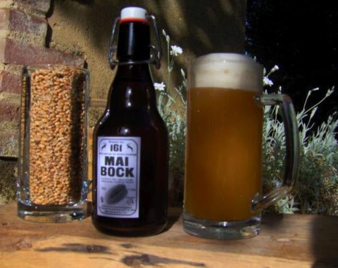 Mai Bock