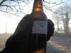 Pils