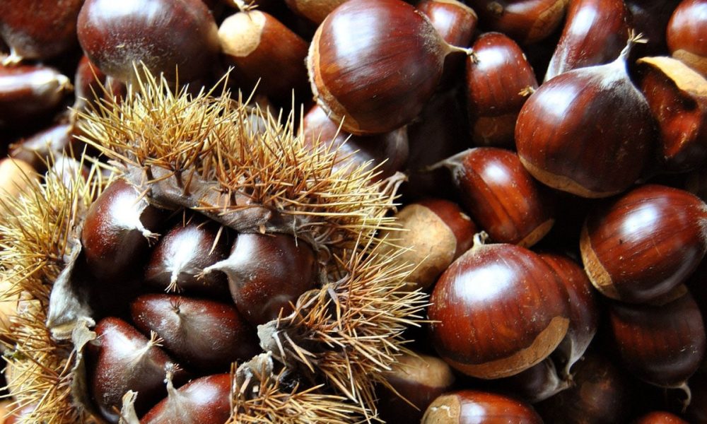 Truffes aux châtaignes