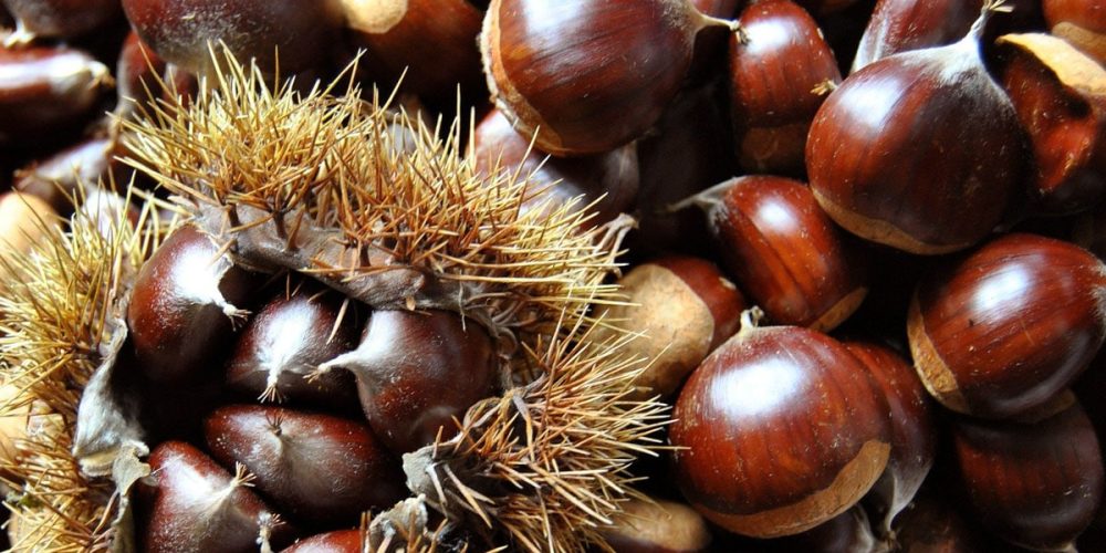 Truffes aux châtaignes 🌰🌰 : Recette facile et de saison.