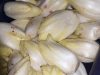 Nos endives