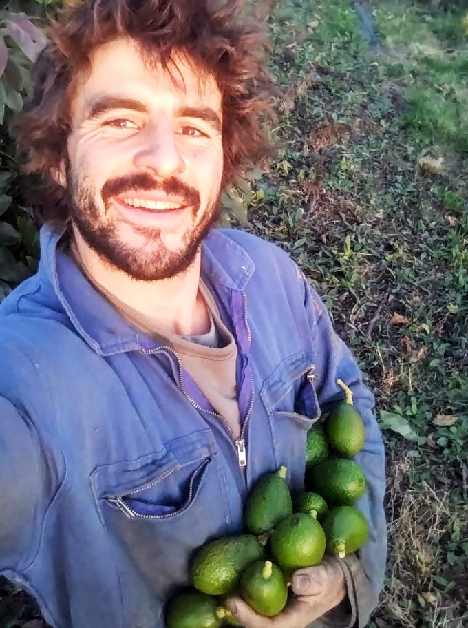 Récolte de légumes