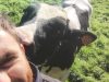 La Ferme de Kerunus - complicité