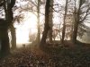 Nos moutons et agneaux