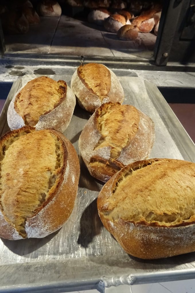 La Ferme de Neuziou - pains cuits