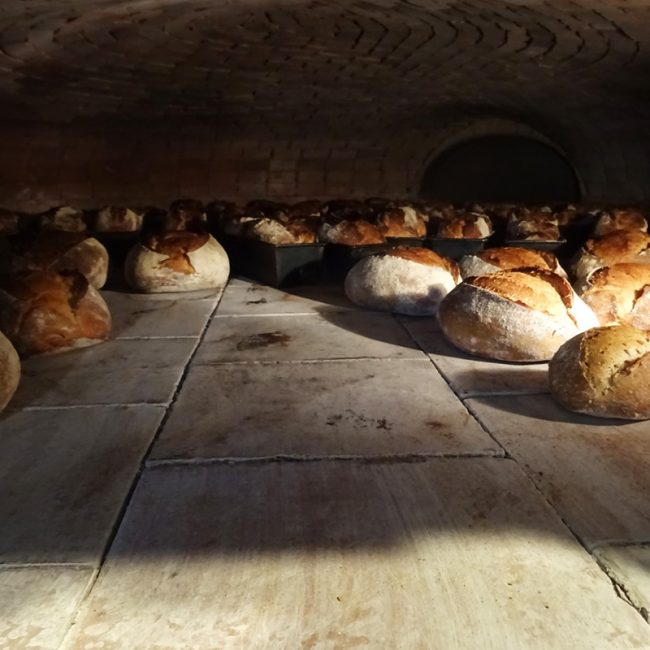 La Ferme de Neuziou